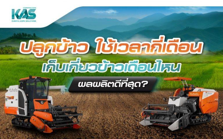 ปลูกข้าวใช้เวลากี่เดือน เก็บเกี่ยวเดือนไหนผลผลิตดีที่สุด