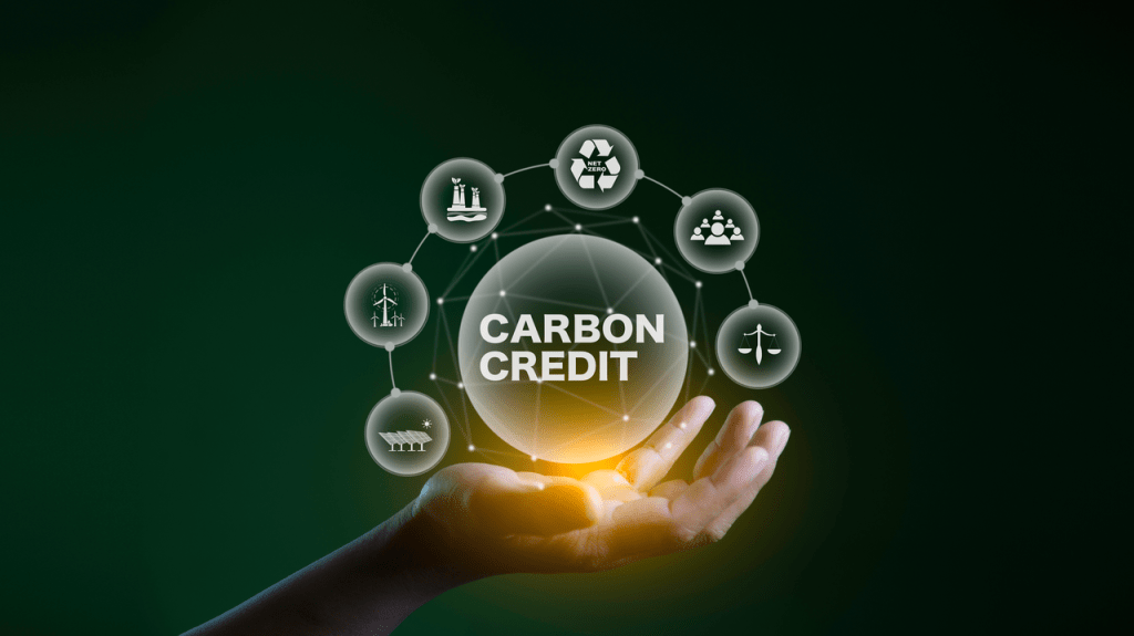 Carbon Credit