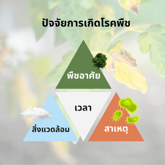 ปัจจัยการเกิดโรคพืช