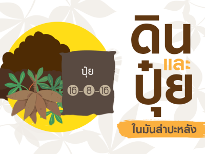 ดินและปุ๋ย สำหรับมันสำปะหลัง